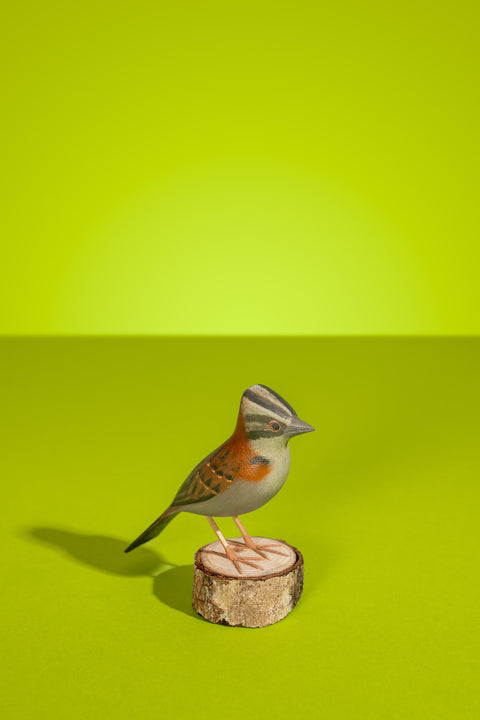 "Tico-tico" Hand-carved Brazilian Bird Ornament