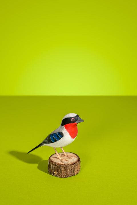 "Saíra Apunhalada" Hand-carved Brazilian Bird Ornament