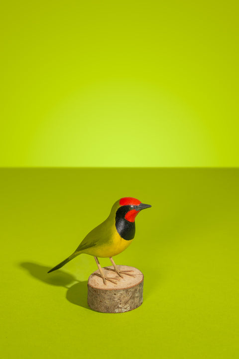 "Papo-preto" Hand-carved Brazilian Bird Ornament