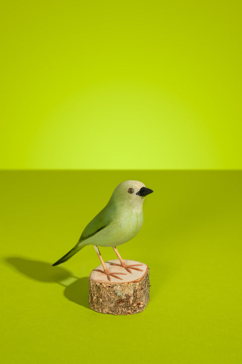 "Verdão" Hand-carved Brazilian Bird Ornament