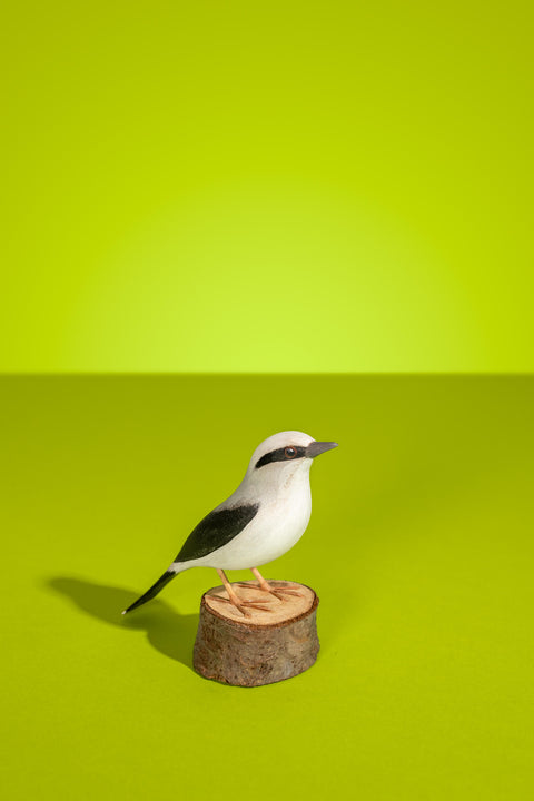 "Lavadeira" Hand-carved Brazilian Bird Ornament