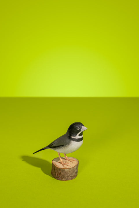 "Coleirinha" Hand-carved Brazilian Bird Ornament