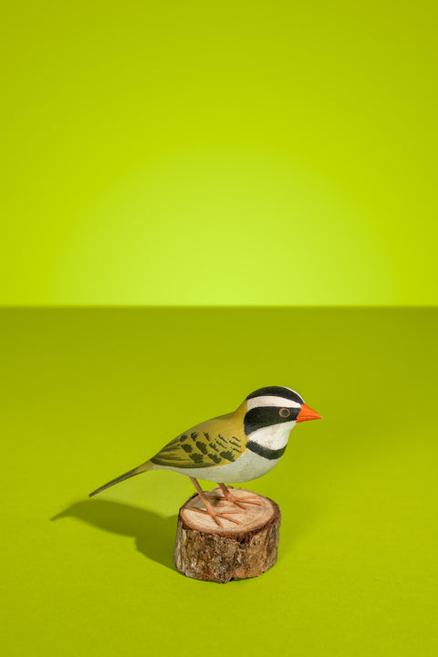"Tico Coleiro" Hand-carved Brazilian Bird Ornament