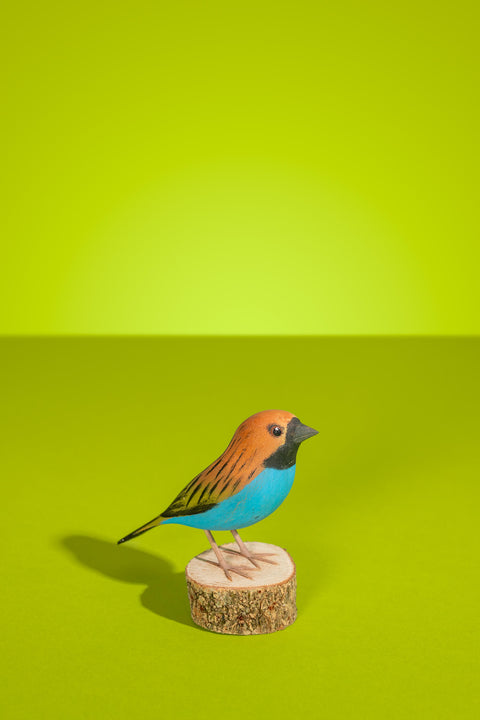 "Douradinha" Hand-carved Brazilian Bird Ornament