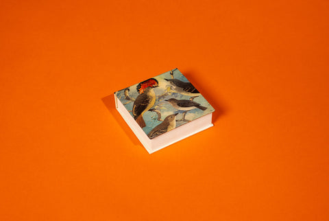 “Aves” Notepad by artist Emilio Goeldi