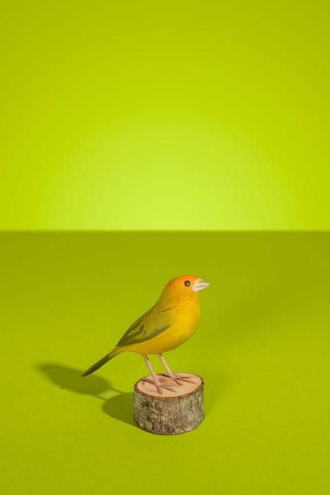 "Canário" Hand-carved Brazilian Bird Ornament