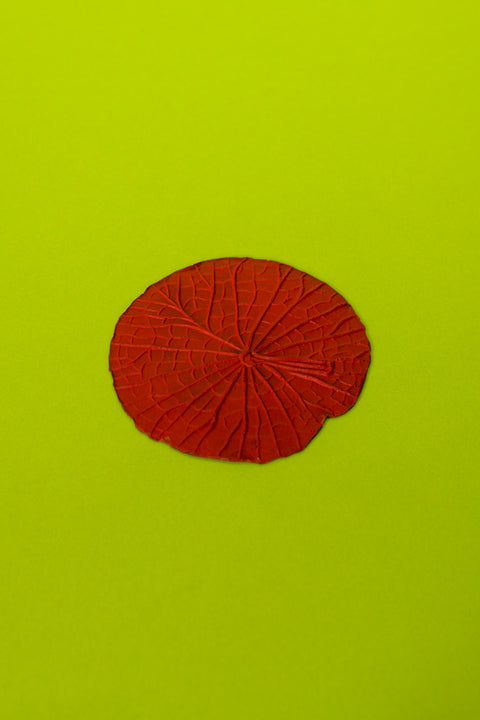 Vitória-Régia Organic Latex Coaster, Red