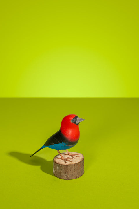 "Papo-vermelho" Hand-carved Brazilian Bird Ornament