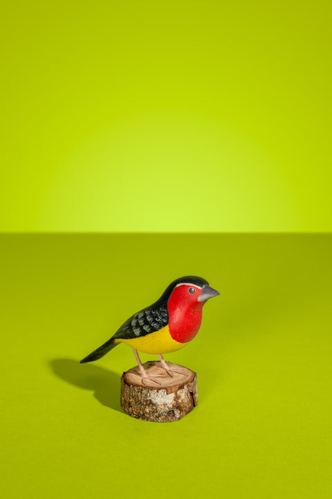 “Amarelo-vermelho” Hand-carved Brazilian Bird Ornament