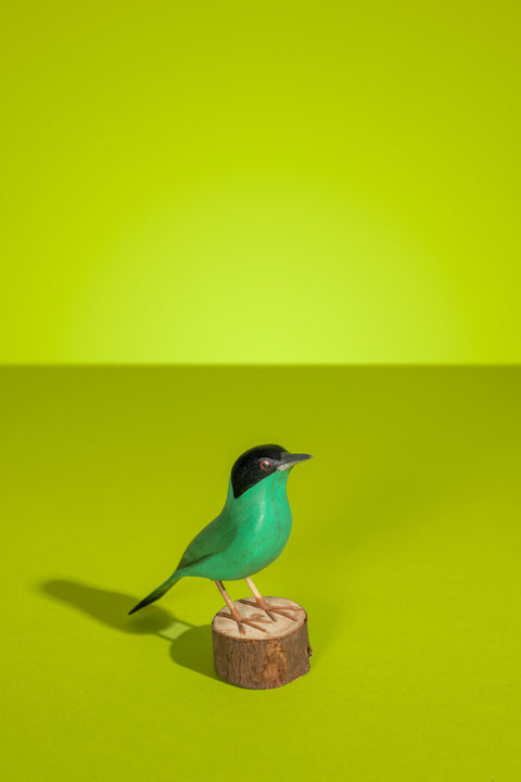 "Sai Verde" Hand-carved Brazilian Bird Ornament