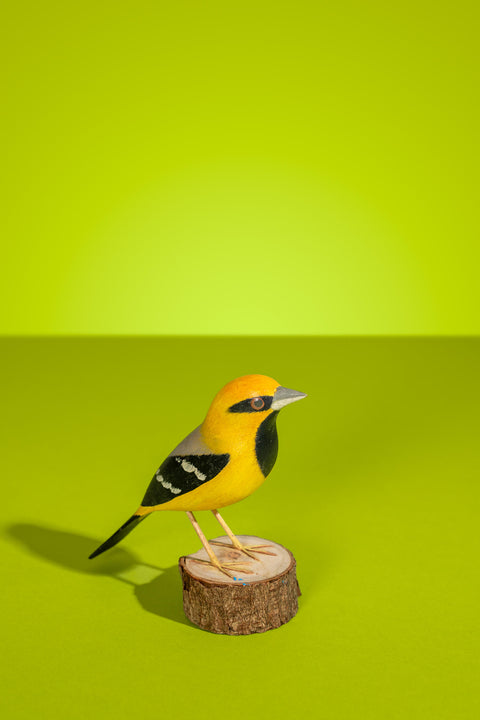 "João-pinto-amarelo" Hand-carved Brazilian Bird Ornament