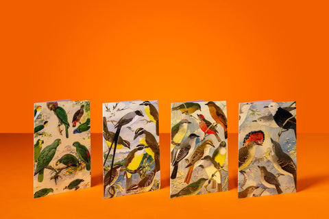 “Aves” Blank Card Box by artist  Emilio Goeldi